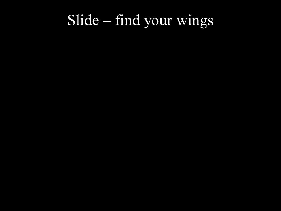 Slide – find your wings