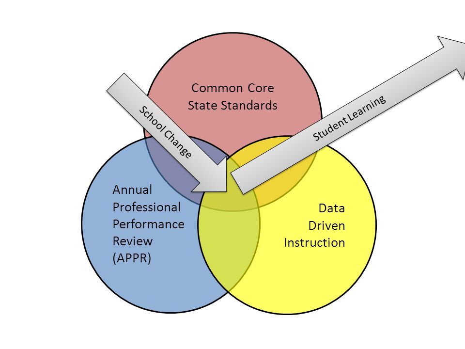 Common Core State Standards Annual Professional Data Performance
