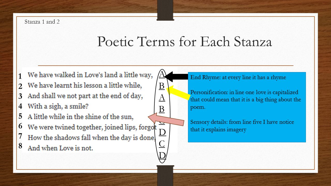 Poetic Terms for Each Stanza