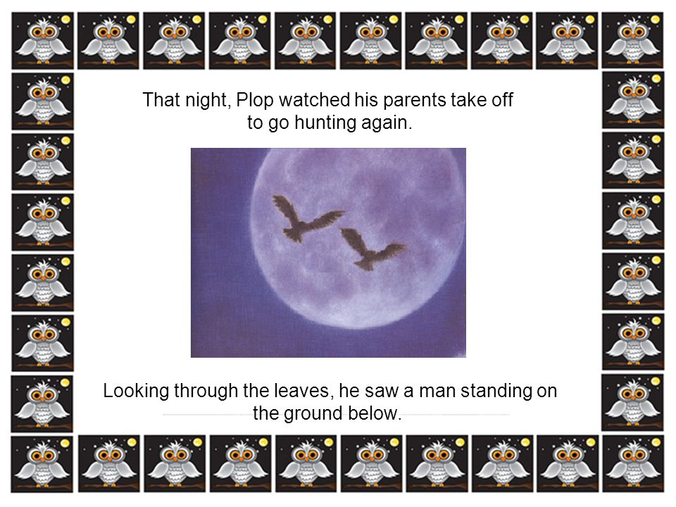 That night, Plop watched his parents take off to go hunting again.