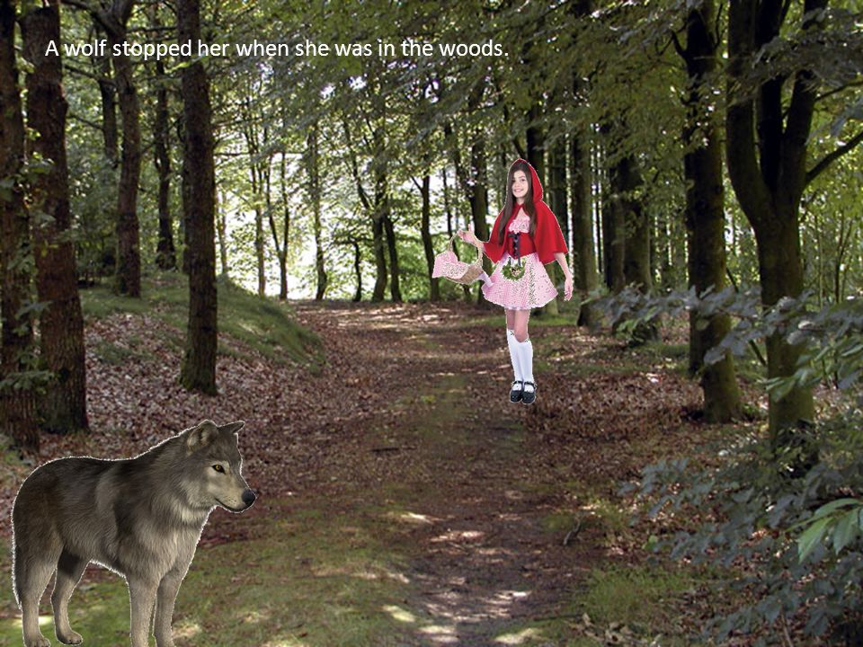 A wolf stopped her when she was in the woods.
