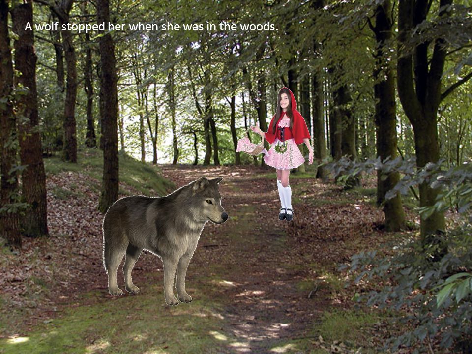 A wolf stopped her when she was in the woods.