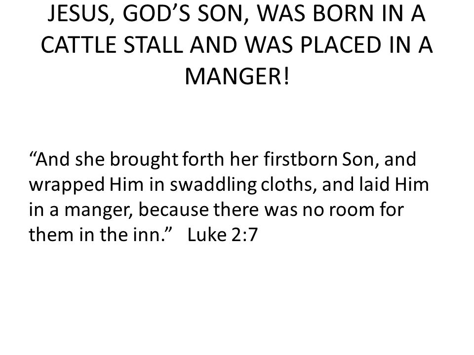 JESUS, GOD’S SON, WAS BORN IN A CATTLE STALL AND WAS PLACED IN A MANGER!