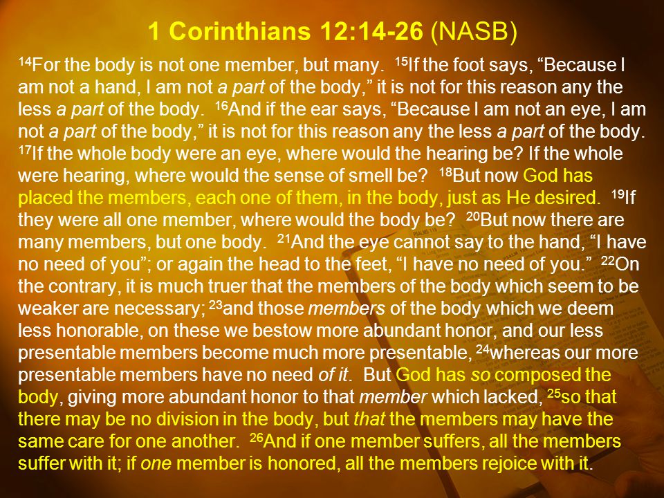 1 Corinthians 12:14-26 (NASB)