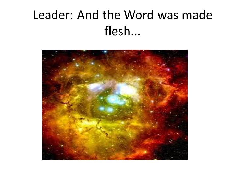 Leader: And the Word was made flesh...