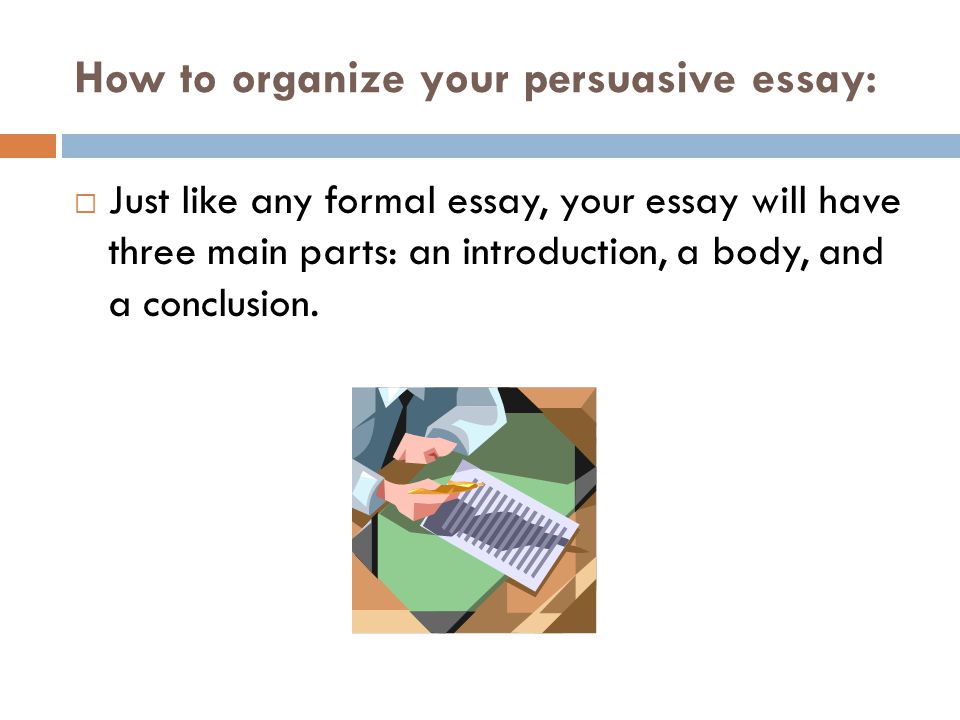 How to organize your persuasive essay: