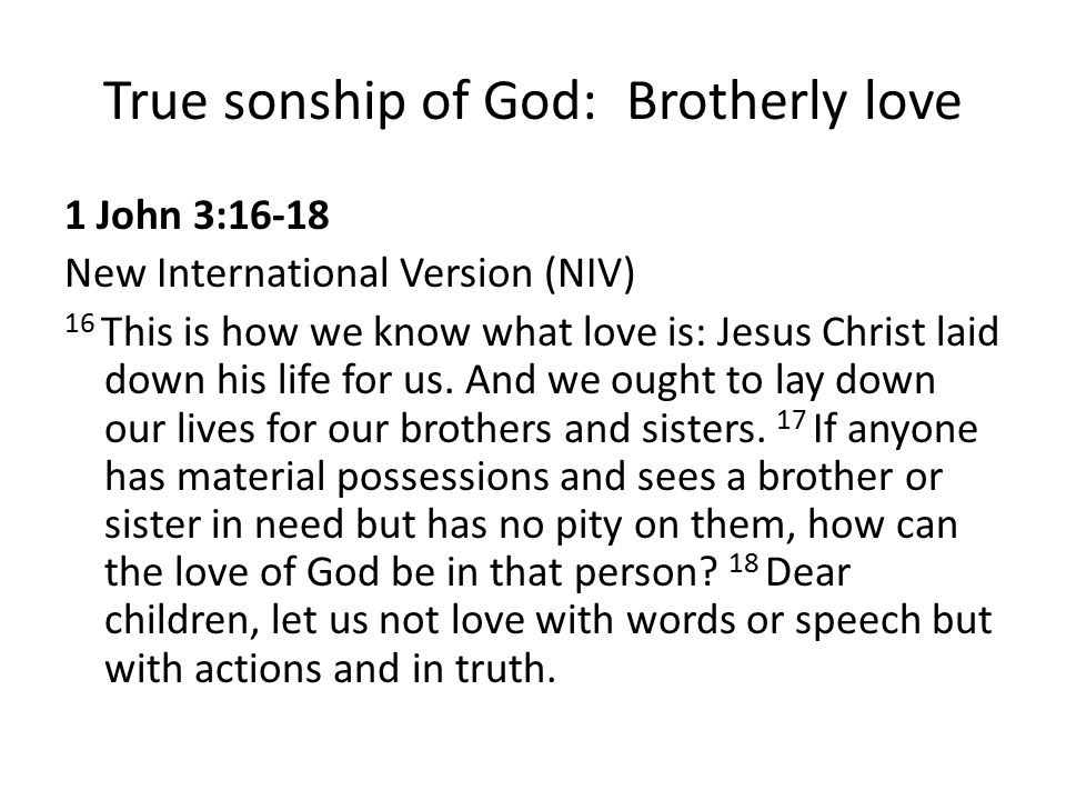 True sonship of God: Brotherly love
