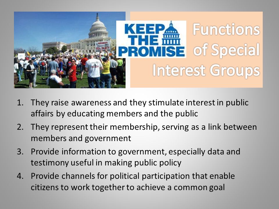 Functions of Special Interest Groups