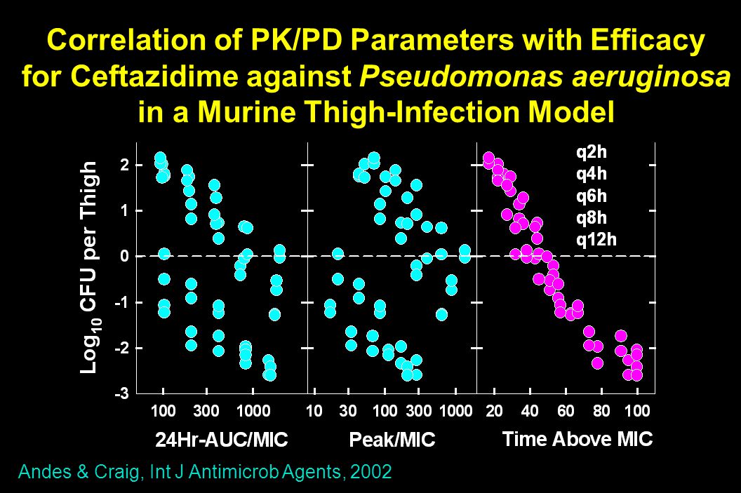 Animal Model PK/PD: A Tool for Drug Development - ppt video online download