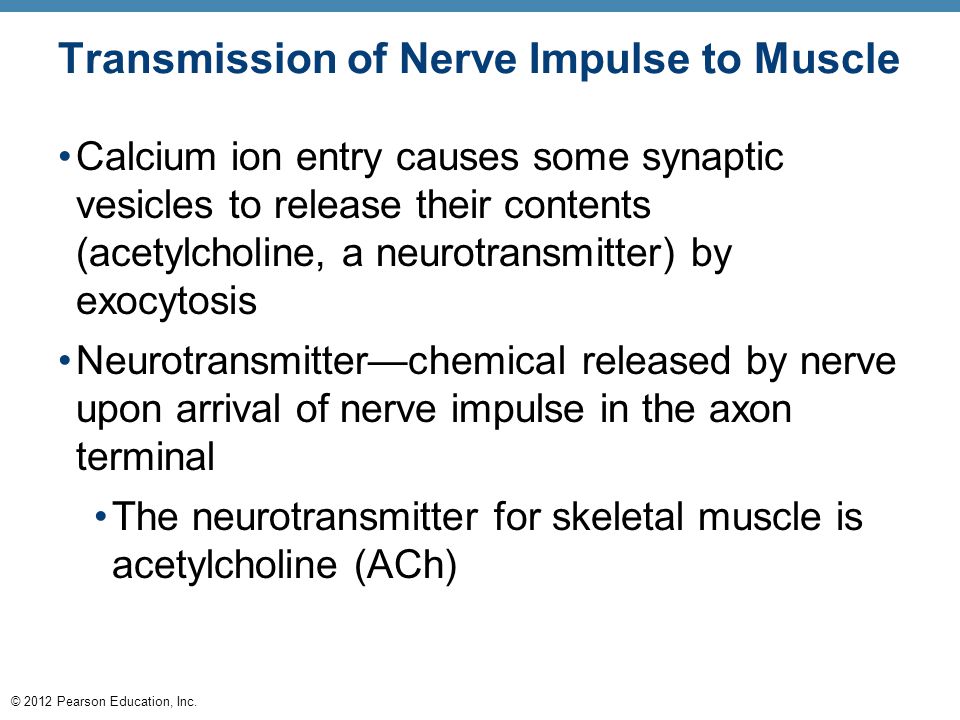 6 The Muscular System. - ppt download