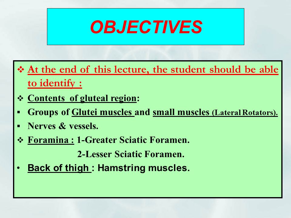 OBJECTIVES At the end of this lecture, the student should be able to identify : Contents of gluteal region: