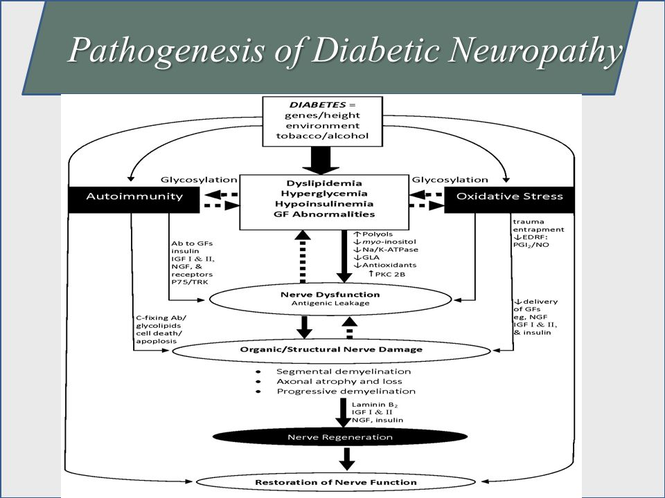 Pathogenesis of Diabetic Neuropathy.