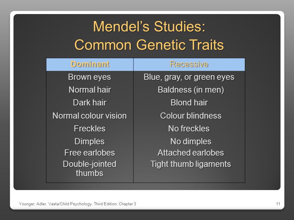 Mendel’s Studies: Common Genetic Traits