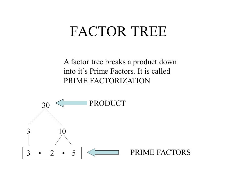 FACTOR TREE A factor tree breaks a product down into it’s Prime Factors. It is called PRIME FACTORIZATION.