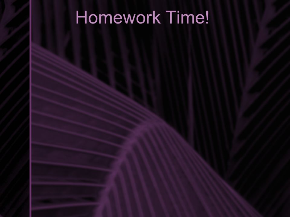 Homework Time!