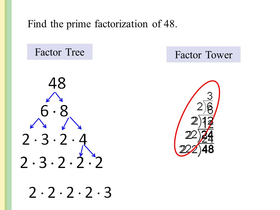 Find the prime factorization of 48.