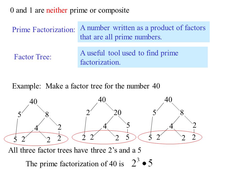 0 and 1 are neither prime or composite