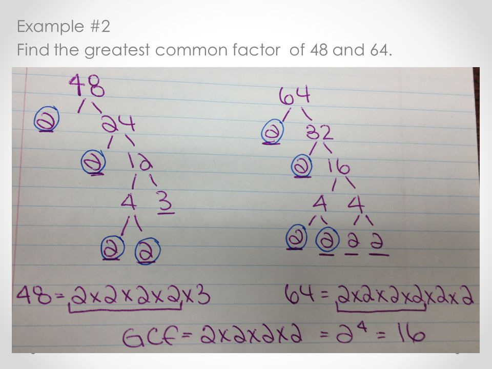 Example #2 Find the greatest common factor of 48 and 64.
