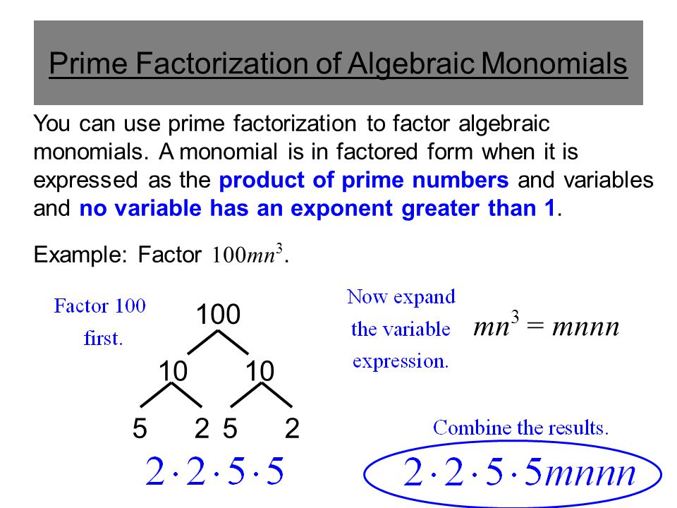 Prime Factorization of Algebraic Monomials