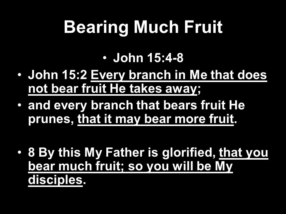 Bearing Much Fruit John 15:4-8