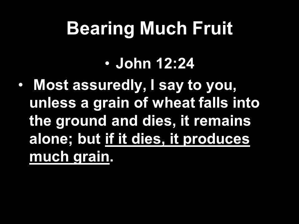 Bearing Much Fruit John 12:24