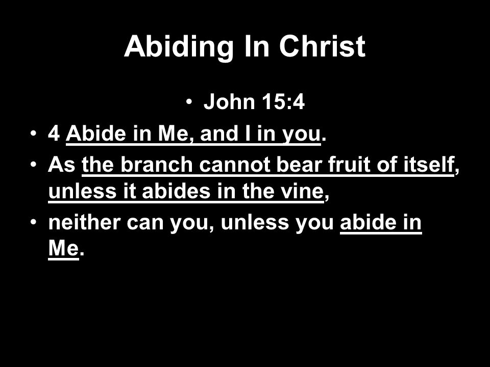 Abiding In Christ John 15:4 4 Abide in Me, and I in you.
