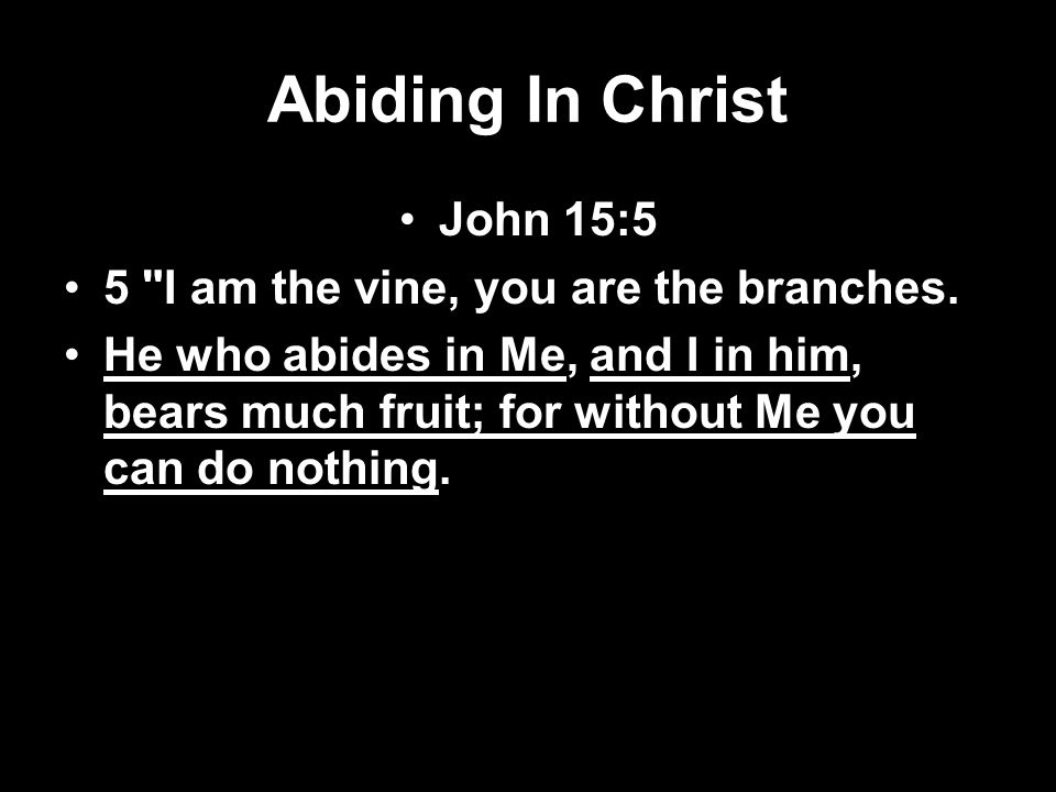 Abiding In Christ John 15:5 5 I am the vine, you are the branches.