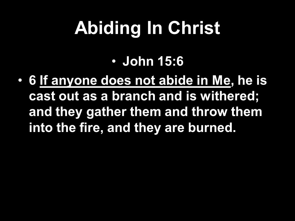 Abiding In Christ John 15:6