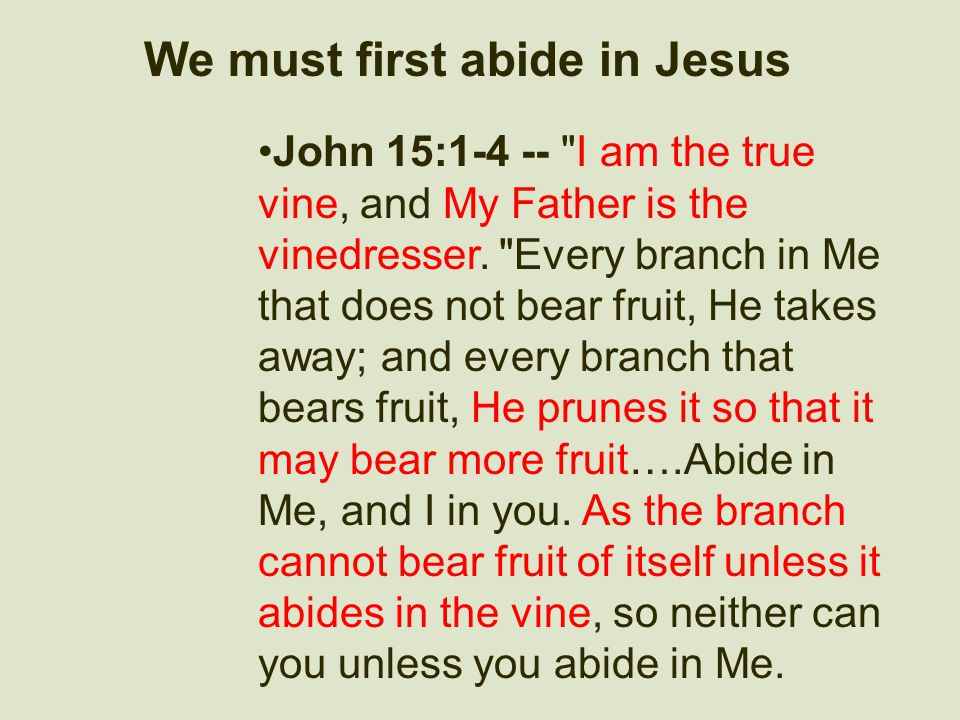We must first abide in Jesus