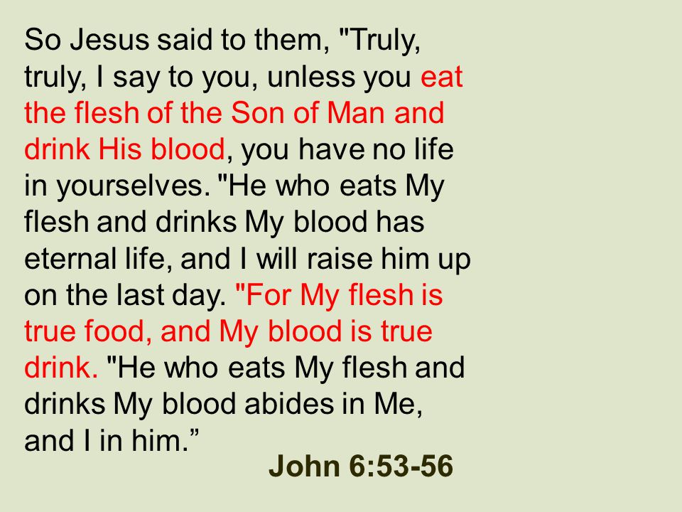 So Jesus said to them, Truly, truly, I say to you, unless you eat the flesh of the Son of Man and drink His blood, you have no life in yourselves. He who eats My flesh and drinks My blood has eternal life, and I will raise him up on the last day. For My flesh is true food, and My blood is true drink. He who eats My flesh and drinks My blood abides in Me, and I in him.