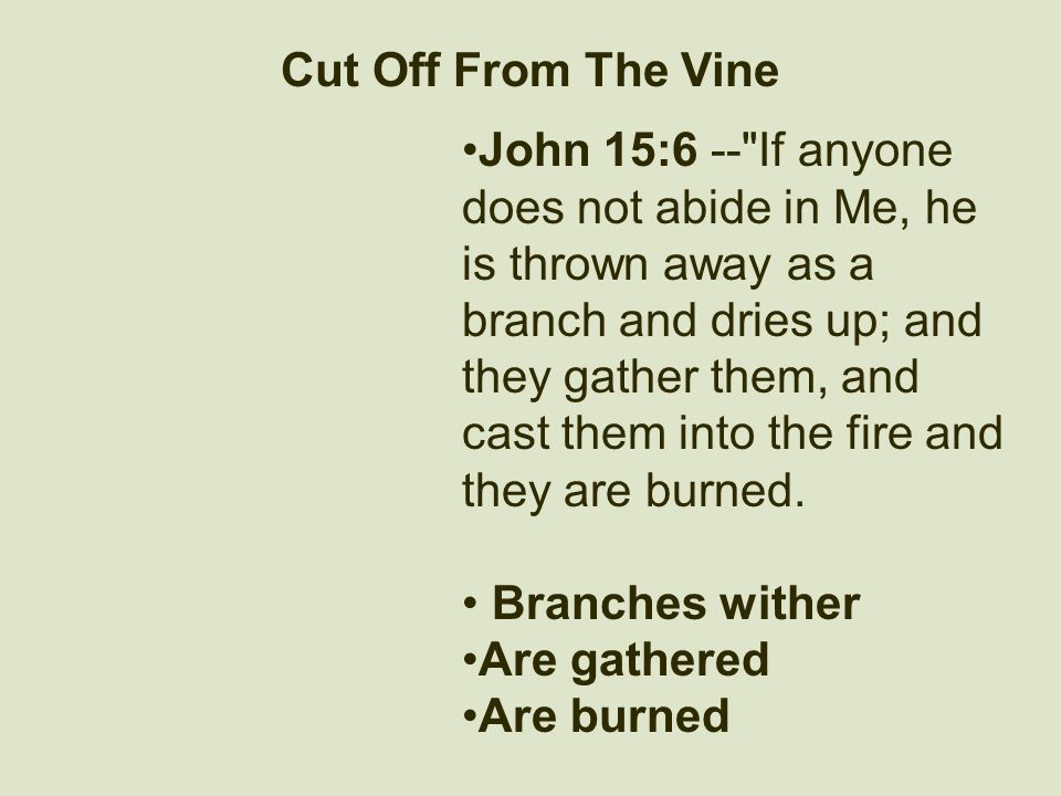 Cut Off From The Vine