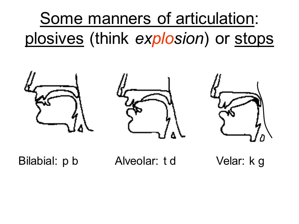 Some manners of articulation: plosives (think explosion) or stops