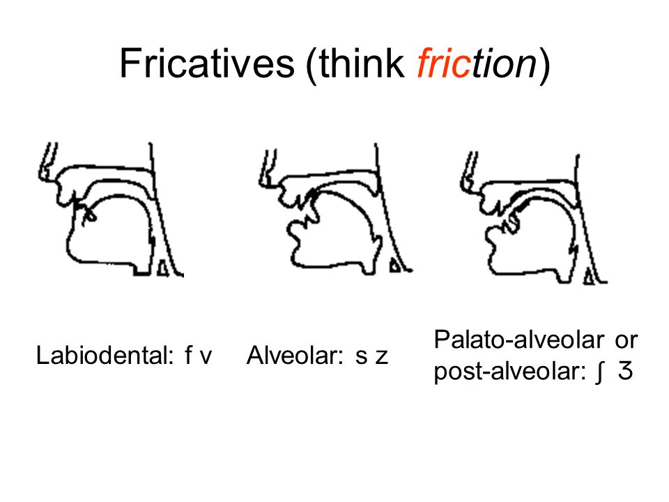 Fricatives (think friction)