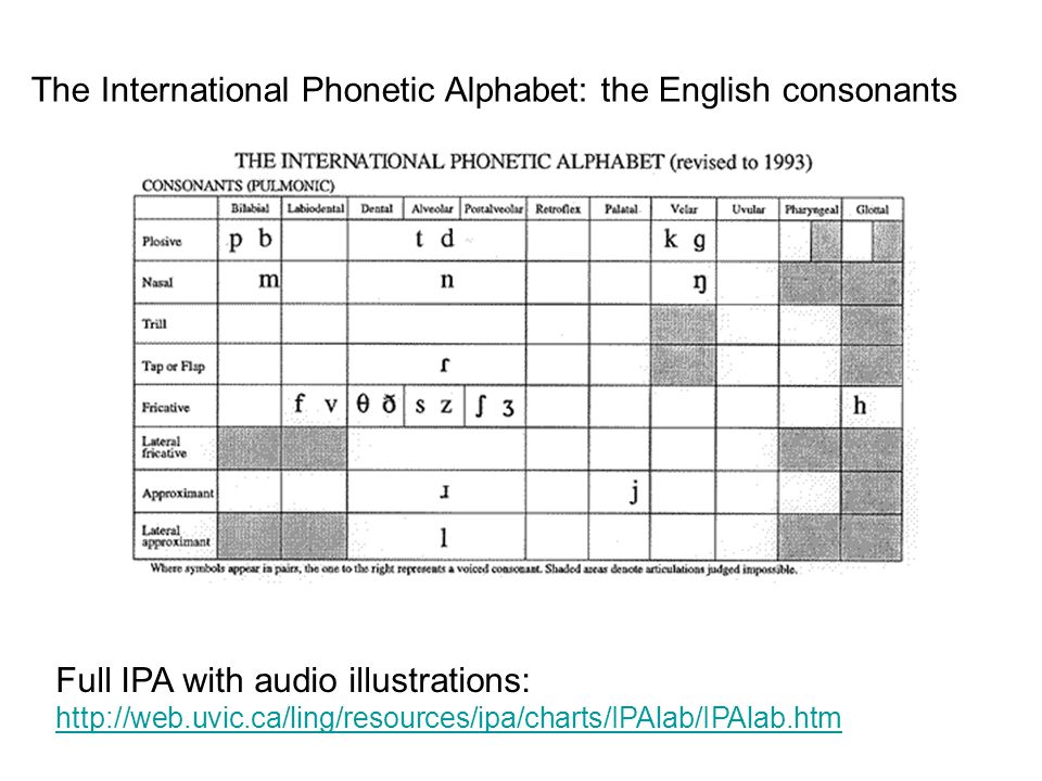 The International Phonetic Alphabet: the English consonants