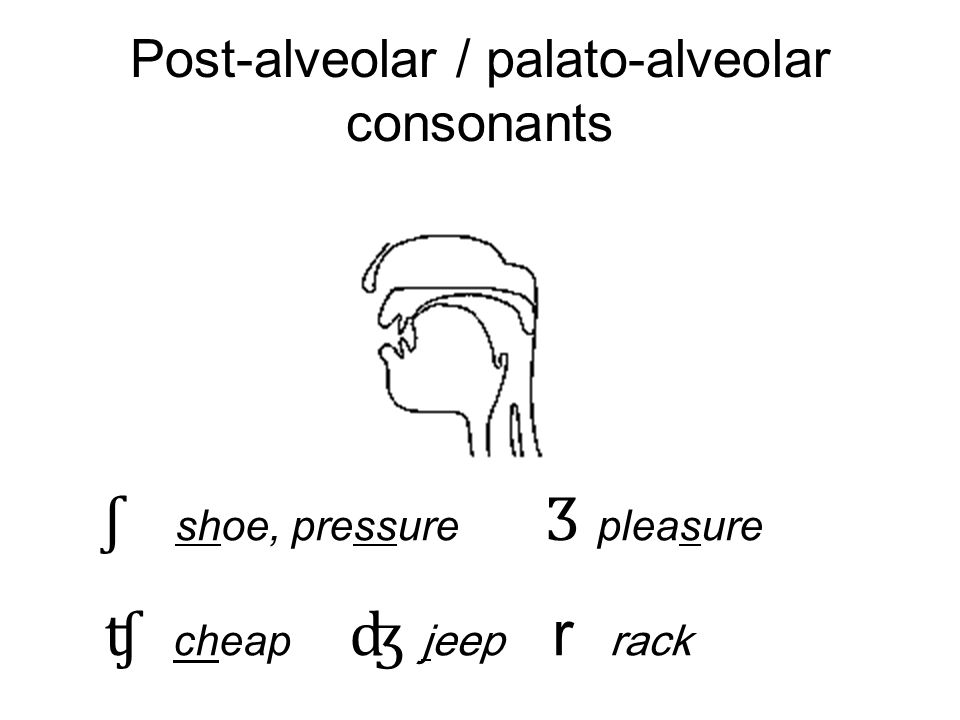 Post-alveolar / palato-alveolar consonants
