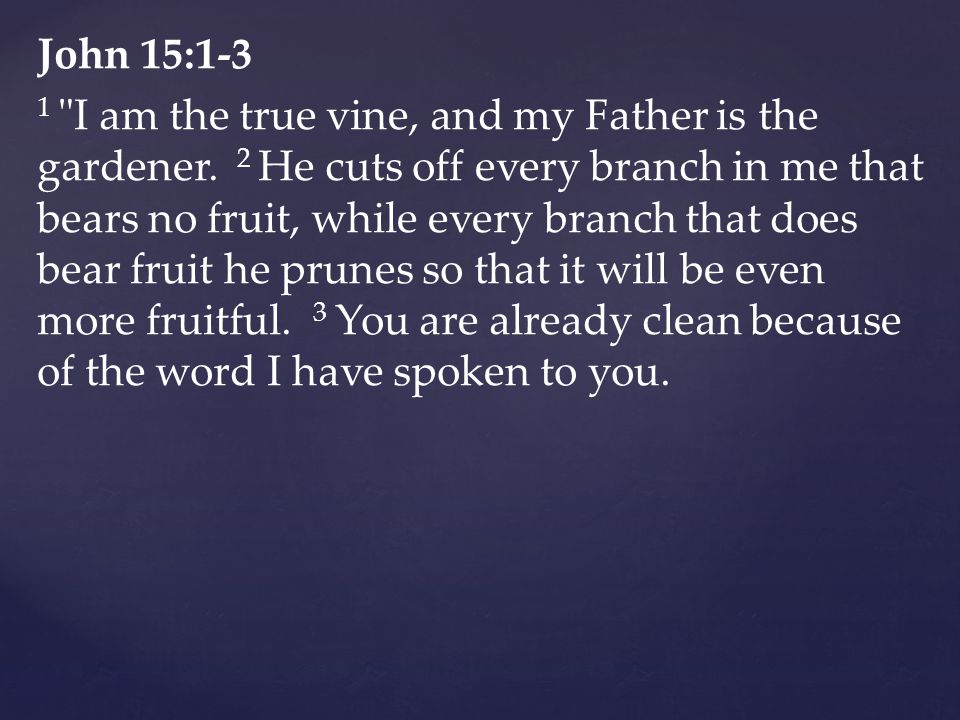 John 15:1-3 1 I am the true vine, and my Father is the gardener