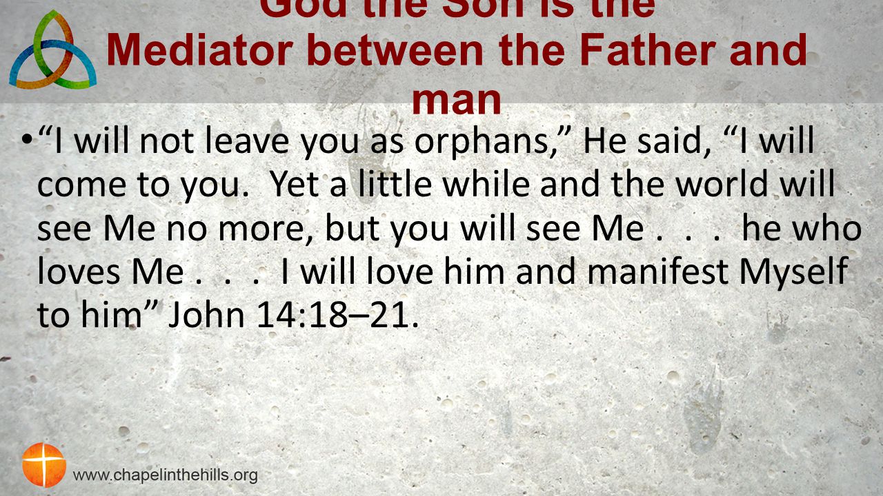 God the Son is the Mediator between the Father and man