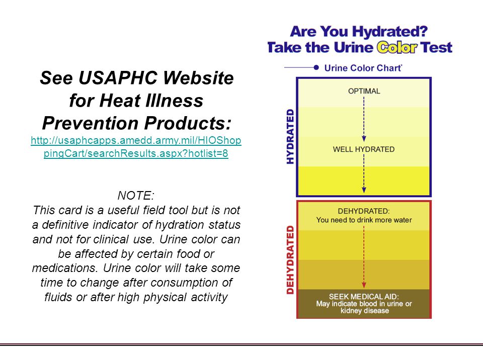 Army Hydration Chart