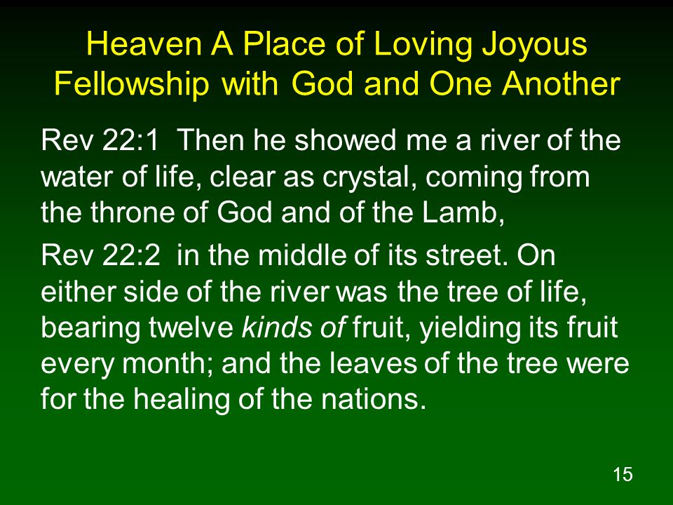 Heaven A Place of Loving Joyous Fellowship with God and One Another
