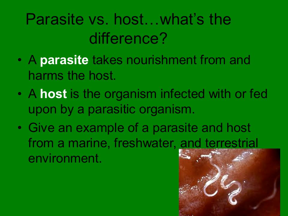 Parasite vs. host…what’s the difference