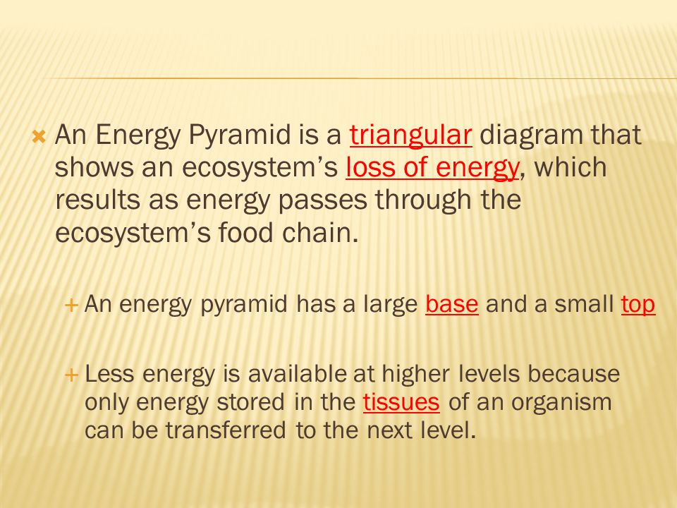 An Energy Pyramid is a triangular diagram that shows an ecosystem’s loss of energy, which results as energy passes through the ecosystem’s food chain.