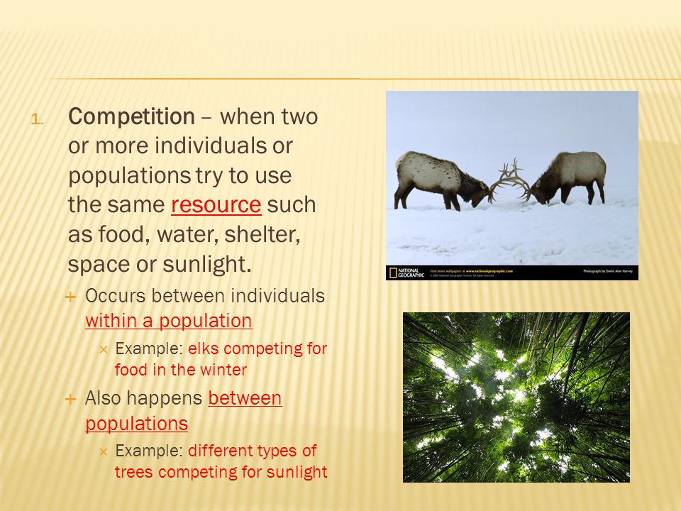 Competition – when two or more individuals or populations try to use the same resource such as food, water, shelter, space or sunlight.