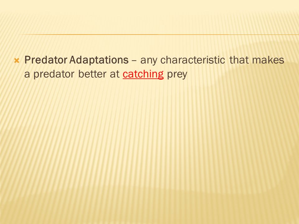 Predator Adaptations – any characteristic that makes a predator better at catching prey
