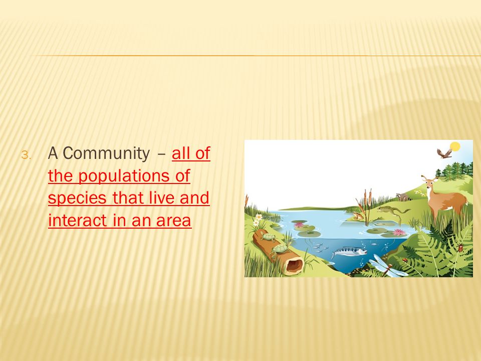 A Community – all of the populations of species that live and interact in an area