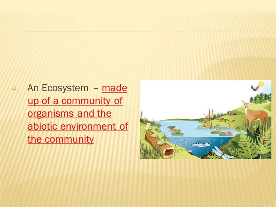 An Ecosystem – made up of a community of organisms and the abiotic environment of the community