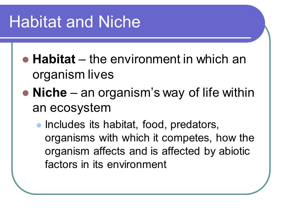 Habitat and Niche Habitat – the environment in which an organism lives