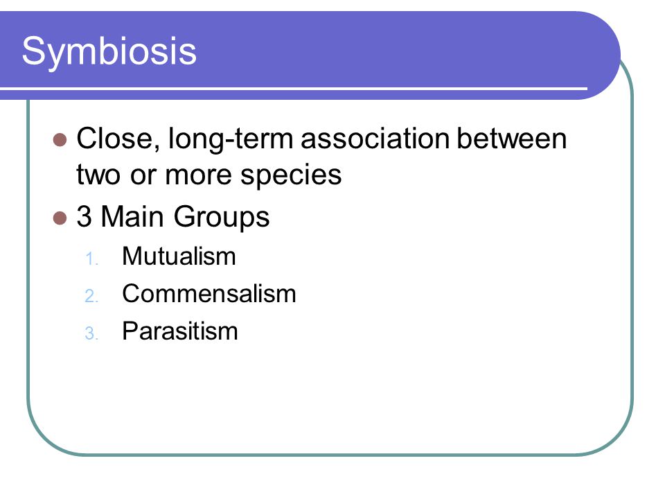 Symbiosis Close, long-term association between two or more species