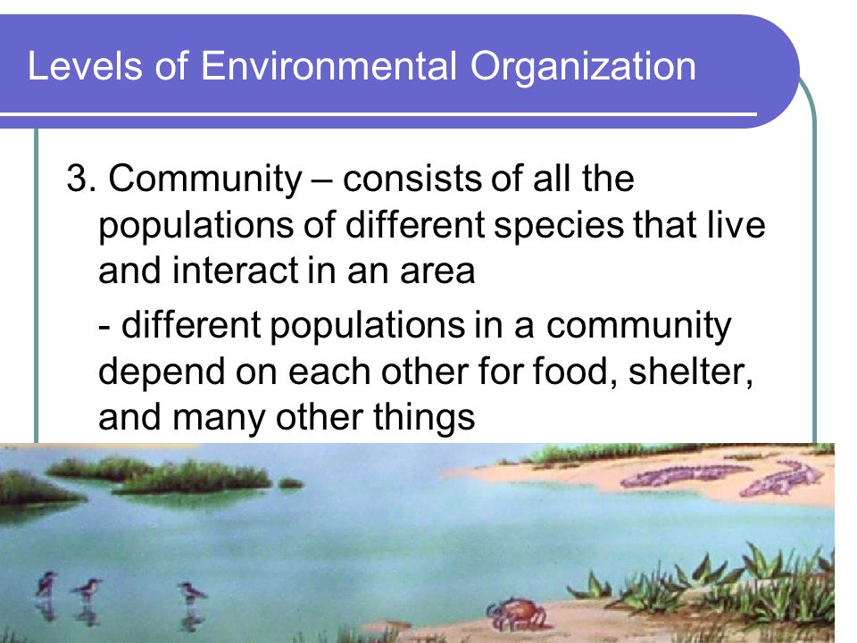 Levels of Environmental Organization
