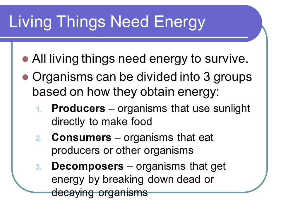 Living Things Need Energy