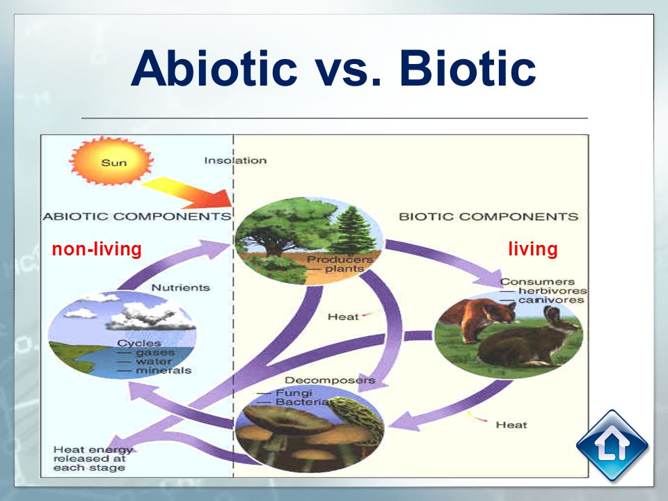 Abiotic vs. Biotic non-living living.